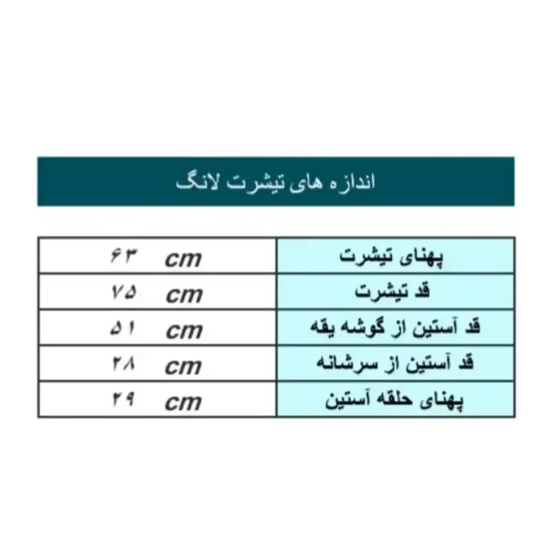 تیشرت لانگ زنانه و دخترانه نخ پنبه طرح تدی خرسی اورسایز فری سایز - تصویر 11